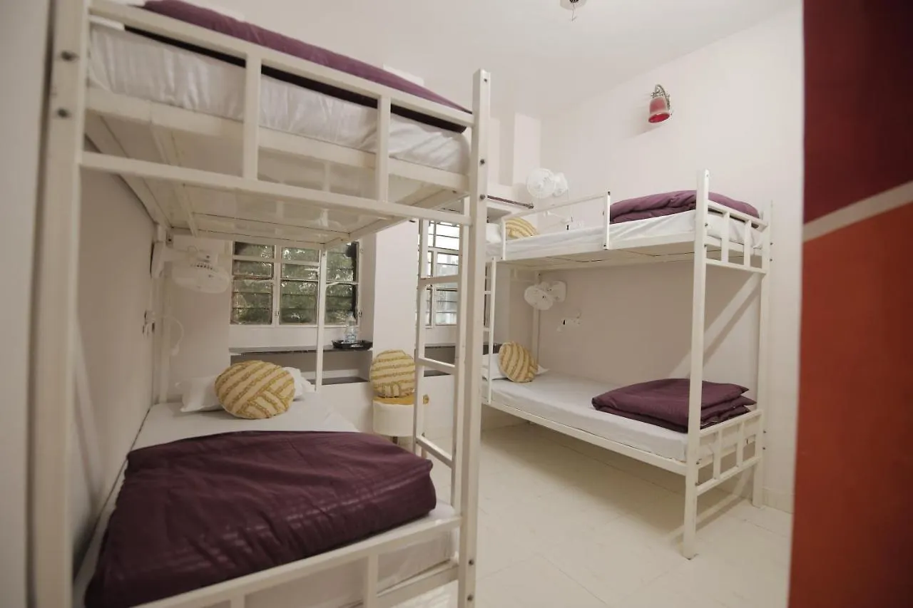 Zodiac Hostel Udaipur